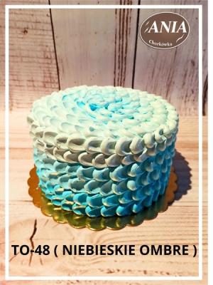 to-48--niebieskie-ombre-